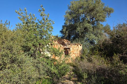 Ruina en Comares, Malaga, Comares - € 95.000 | Ref: AX1374 - photo 2
